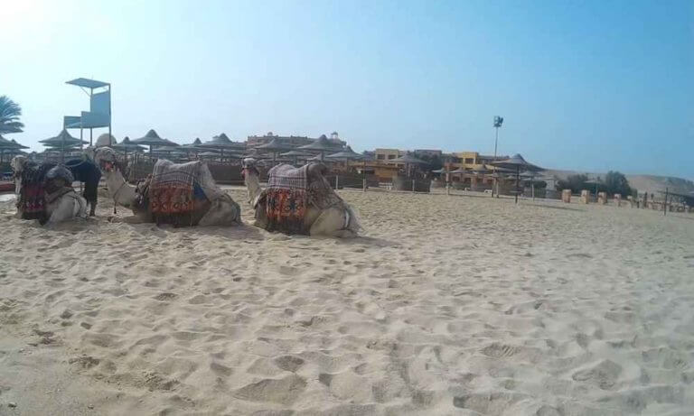 12 Top Rated Beaches in Egypt