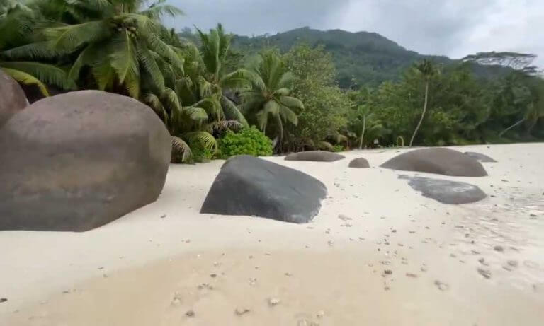14 Top Rated Beaches in Seychelles