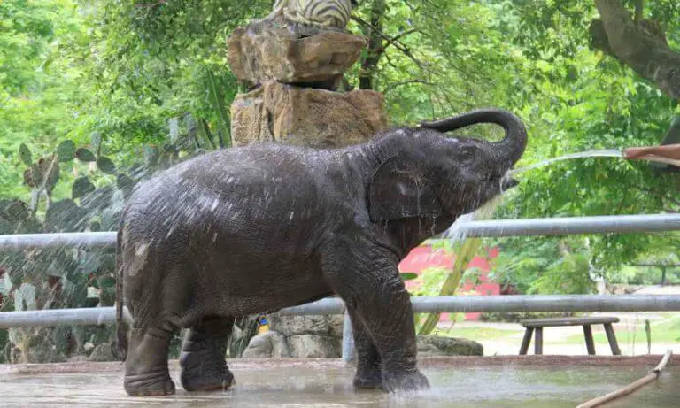 12 Top Rated Tourist Attractions in Chiang-Mai