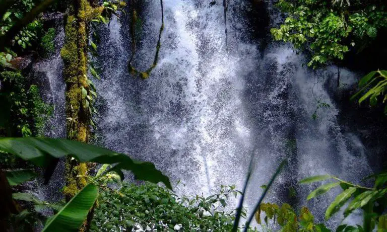15 Top Rated Tourist Attractions In Bali